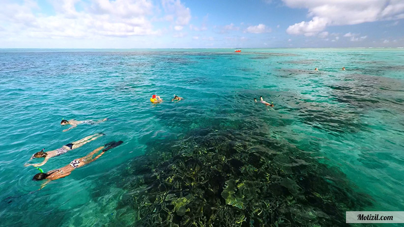 Excursion Snorkeling Ile Maurice