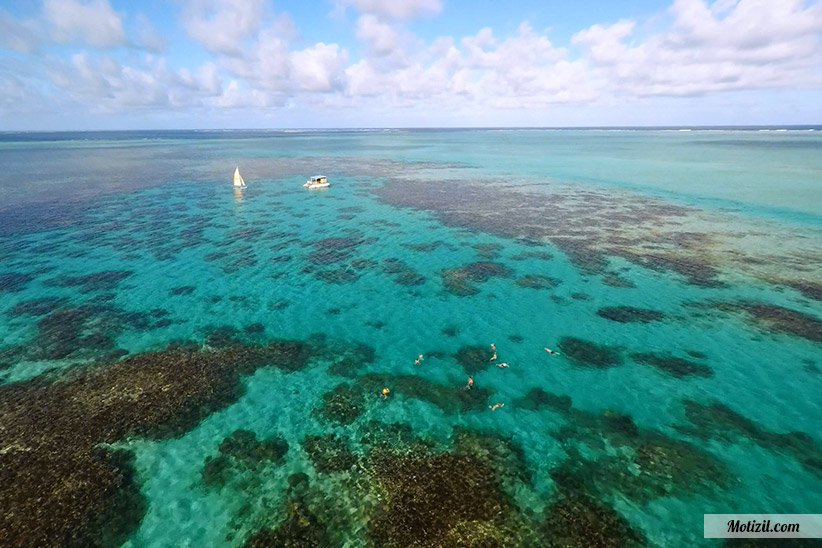 Snorkeling cote est ile maurice