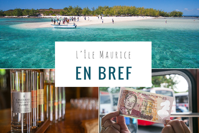 L'Ile Maurice en chiffres L'Ile Maurice en chiffres