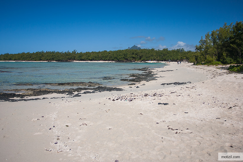 Ile aux Cerfs Ile aux Cerfs