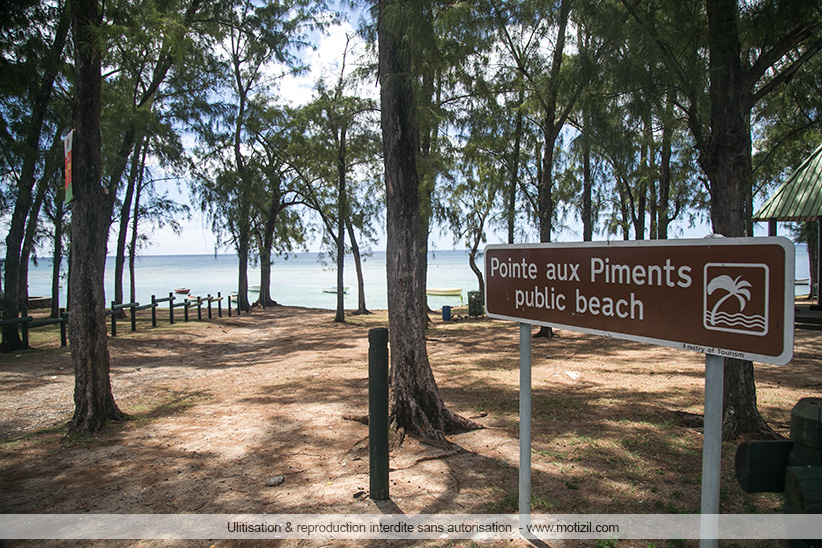 Plage de Pointe aux Piments