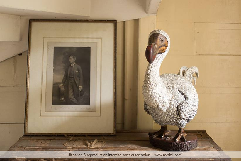 La Maison Eurêka, Visite D'une Maison Créole | Motizil